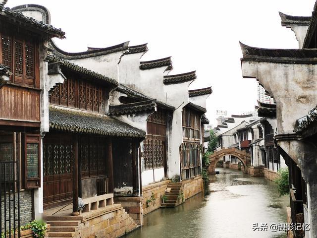 救援萌老虎